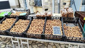 2024 12 23 CAUSSADE - Tarn et Garonne - Marche (19)